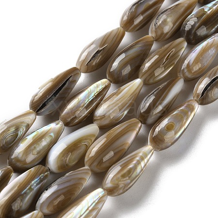 Natural Freshwater Shell Beads Strands SSHEL-B002-12-1