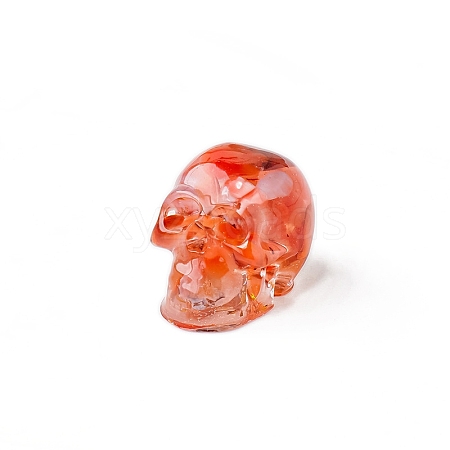 Resin Skull Display Decoration PW-WG10352-04-1