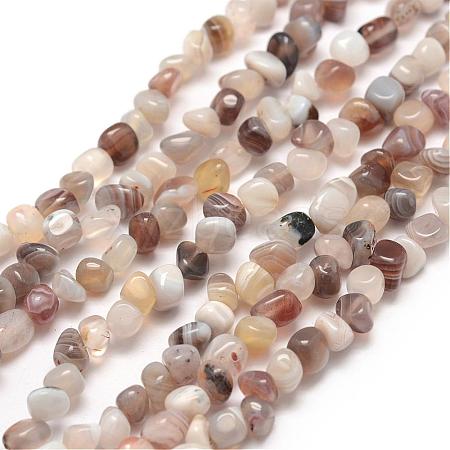 Natural Botswana Agate Beads Strands G-F465-46-1
