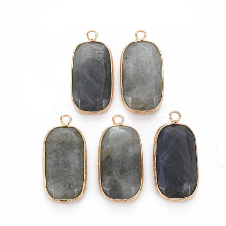 Natural Labradorite Pendants G-S359-292B-1