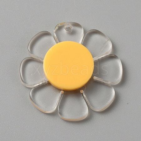 Transparent Resin Pendants RESI-WH0029-46B-09-1