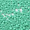 Baking Paint Glass Seed Beads SEED-H002-I-A509-3