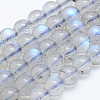 Natural Labradorite Beads Strands G-J373-14-5mm-1