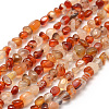Dyed Natural Carnelian Beads Strands G-F465-22-1