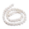 Natural Rainbow Moonstone Beads Strands G-K323-11-5