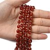 Natural Carnelian Beads Strands G-F809-A22-01-6