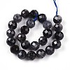 Natural Cordierite/Iolite/Dichroite Beads Strands G-S345-8mm-27-3