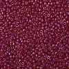TOHO Round Seed Beads SEED-JPTR08-0165B-2