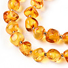 Natural Amber Beads Strands G-T138-236-3