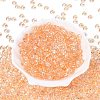 Transparent Colours Glass Seed Beads SEED-Q042-01A-A03-2