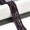 Natural Ruby Beads Strands G-P553-E05-03-2