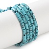 Dyed Synthetic Turquoise Beads Strands G-B124-A01-01-2