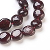 Natural Garnet Beads Strands G-F575-18D-2