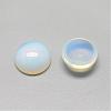 Opalite Cabochons G-R416-16mm-49-2