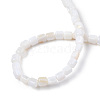 Natural Freshwater Shell Beads Strands SHEL-N034-29B-01-4