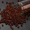 TOHO 6/0 Round Beads SEED-XTR06-2154-1