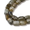 Natural Labradorite Beads Strands G-H087-D03-01-4