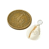 Natural Cowrie Shell Pendants PALLOY-JF02796-02-2