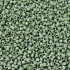 MIYUKI Delica Beads X-SEED-J020-DB2310-3