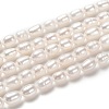 Natural Cultured Freshwater Pearl Beads Strands PEAR-J005-62-1
