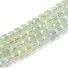 Natural Prehnite Beads Strands G-N342-125-1