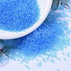MIYUKI Delica Beads SEED-X0054-DB1109-1
