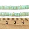 Dyed Natural Freshwater Shell Beads Strands BSHE-G039-07E-4