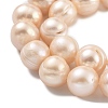 Natural Cultured Freshwater Pearl Beads Strands PEAR-C003-21D-4