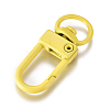 Baking Painted Alloy Swivel Clasps PALLOY-TAC0011-45G-2