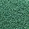 TOHO Round Seed Beads X-SEED-TR11-2119-2