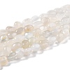 Natural White Moonstone Beads Strands G-G018-05-1