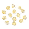 Transparent Glass Beads GLAA-D304-01E-1