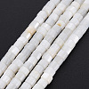 Natural Freshwater Shell Beads Strands SHEL-N027-09-2