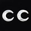 Natural White Shell Connector Charms SSHEL-N034-159-3