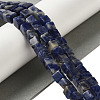 Natural Sodalite Beads Strands G-B078-K01-01-2