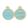 Alloy Enamel Pendants LS-ENAM-S124-01B-16J-2