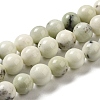 Natural Dendritic Jasper Beads Strands G-H298-A15-04-1