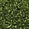 6/0 Glass Seed Beads X2-SEED-A005-4mm-24-3