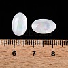 Natural White Shell Cabochons SSHEL-T017-06-4