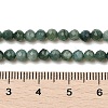 Natural Freshwater Shell Dyed Beads Strands SHEL-R100-12A-05-4