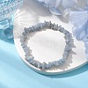 Natural Ang Chip Beaded Stretch Bracelets BJEW-JB10868-02-2