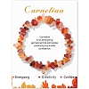 Natural Carnelian Chips Beaded Stretch Bracelets PW-WG309C1-06-1