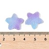 Imitation Candy Food Style Resin Cabochons X1-RESI-R461-02N-3