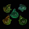 Luminous Transparent Resin Pendants X-RESI-F077-01P-2