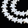 Natural Freshwater Shell Beads Strands SHEL-S278-01D-01-3