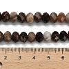 Natural Petrified Wood Beads Strands G-Z111-A50-6