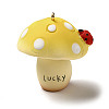 Mushroom Resin Big Pendants LS-CRES-B013-A05-1