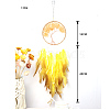 Woven Web/Net with Feather Hanging Ornaments PW23102031039-1