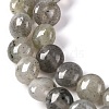 Natural Labradorite Beads Strands G-T047-A18-01-4