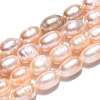 Natural Cultured Freshwater Pearl Beads Strands PEAR-N012-07M-4